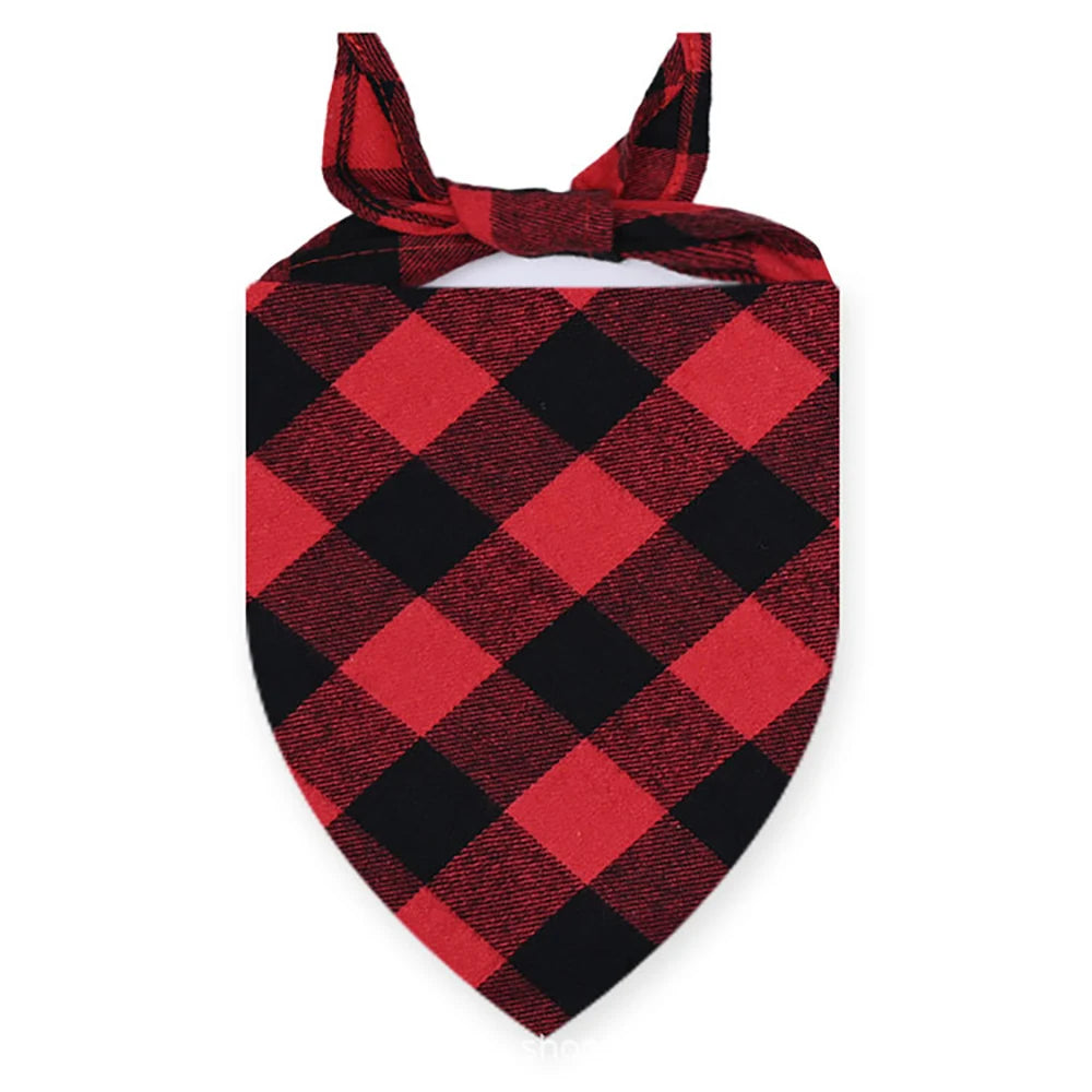 54481467965789|54481467998557|54481468031325|54481468064093