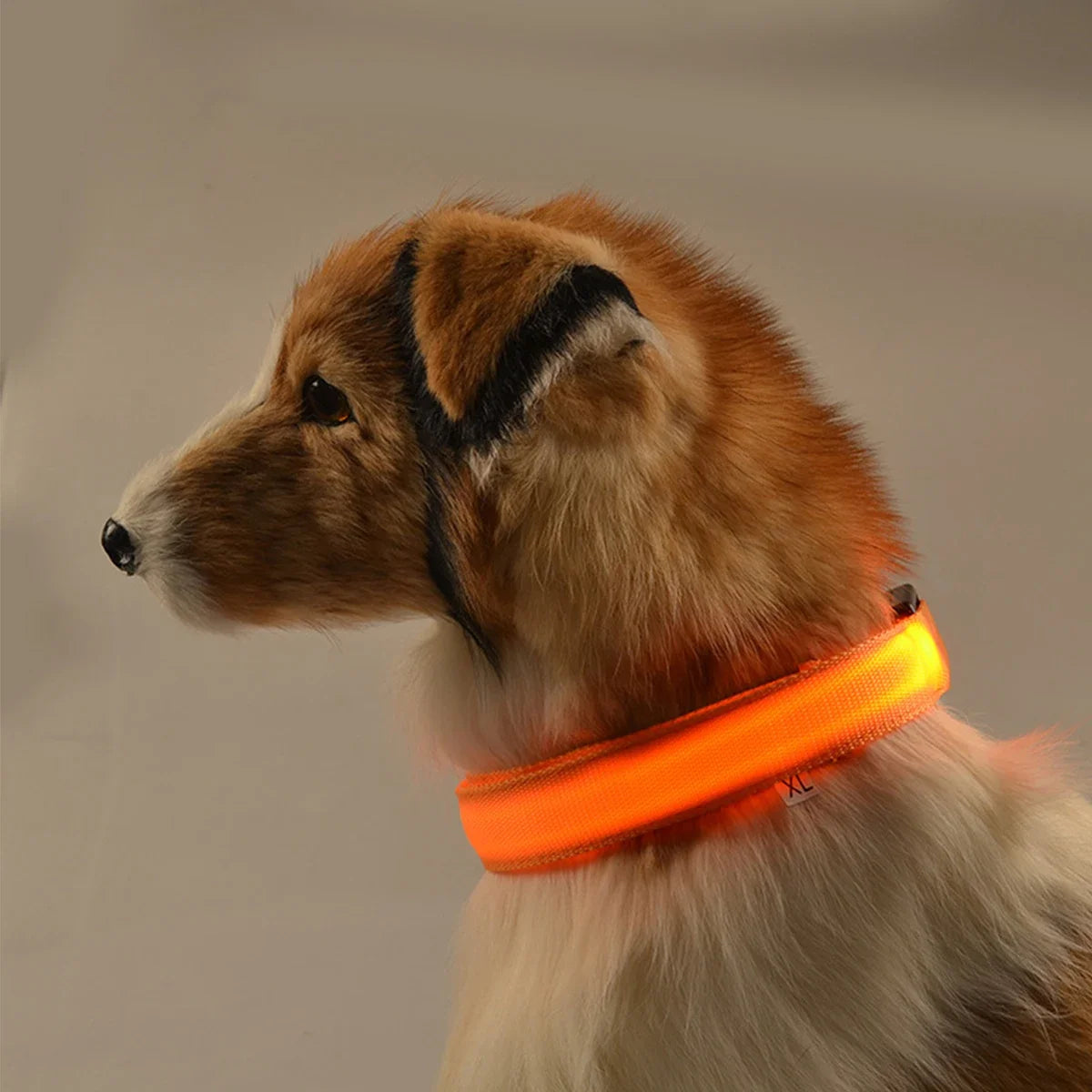 Wuffladen - Hunde - LED Sicherheits-Halsband & Leine