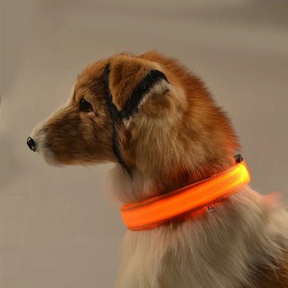 Wuffladen - Hunde - LED Sicherheits-Halsband & Leine