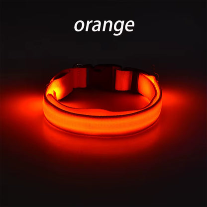 Wuffladen - Hunde - LED Sicherheits-Halsband & Leine