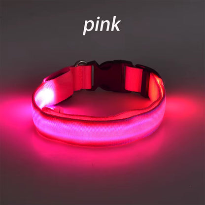 Wuffladen - Hunde - LED Sicherheits-Halsband & Leine