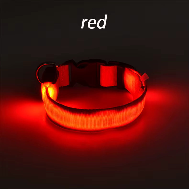 Wuffladen - Hunde - LED Sicherheits-Halsband & Leine