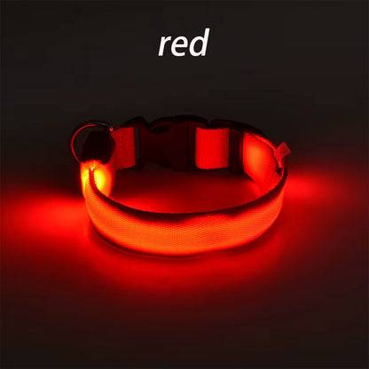 Wuffladen - Hunde - LED Sicherheits-Halsband & Leine