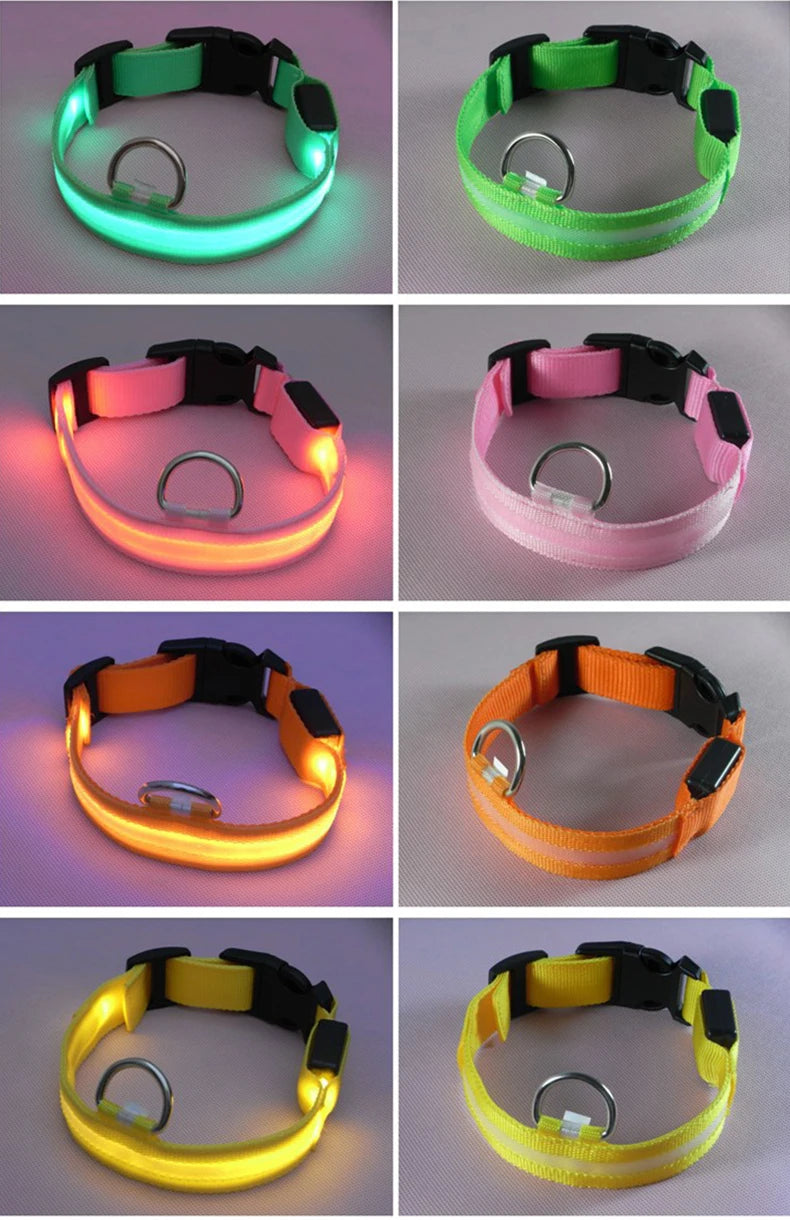 Wuffladen - Hunde - LED Sicherheits-Halsband & Leine