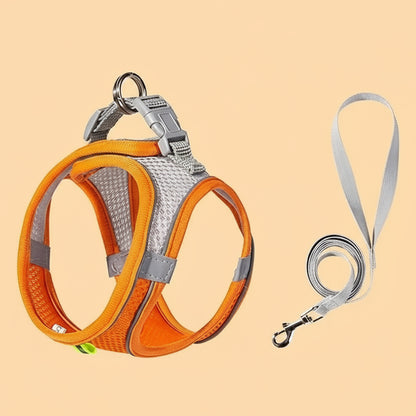 Wuffladen - verstellbares Geschirr für Hunde