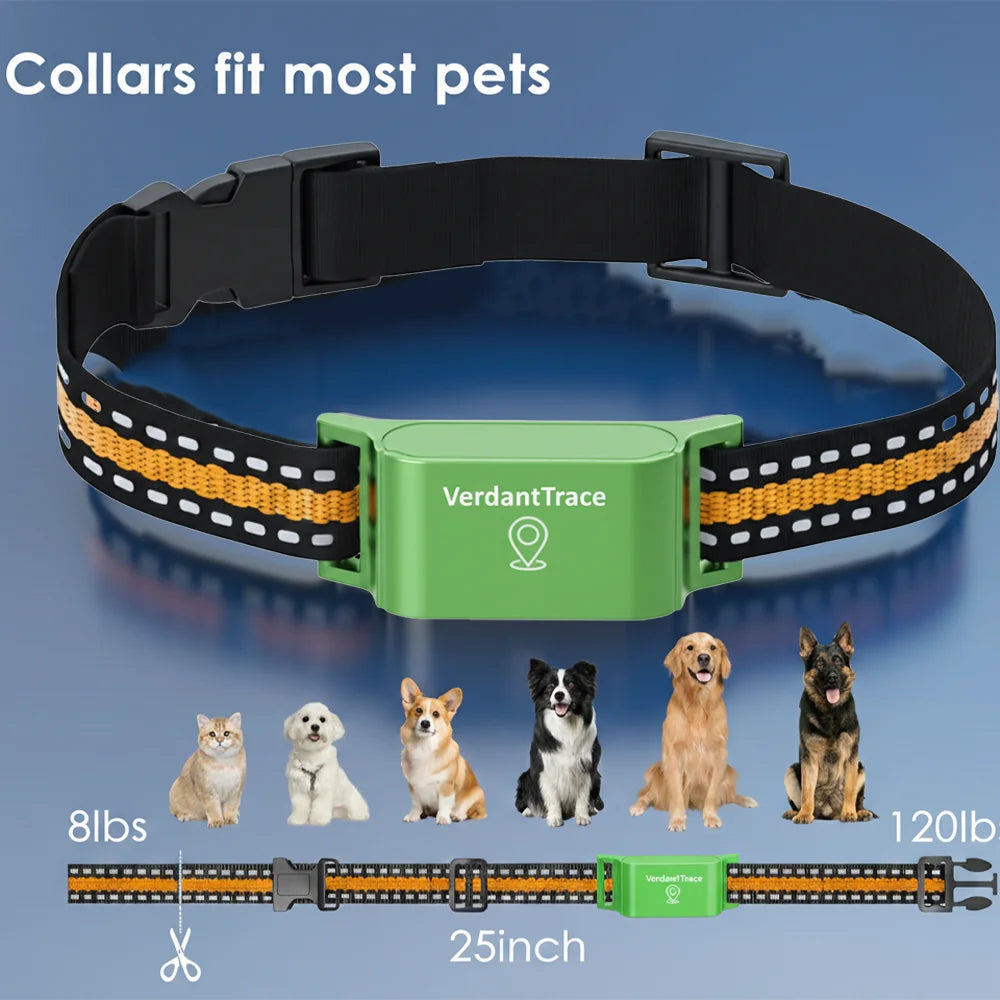 Wuffladen - 4G GPS Halsband für Hunde