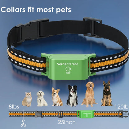 Wuffladen - 4G GPS Halsband für Hunde
