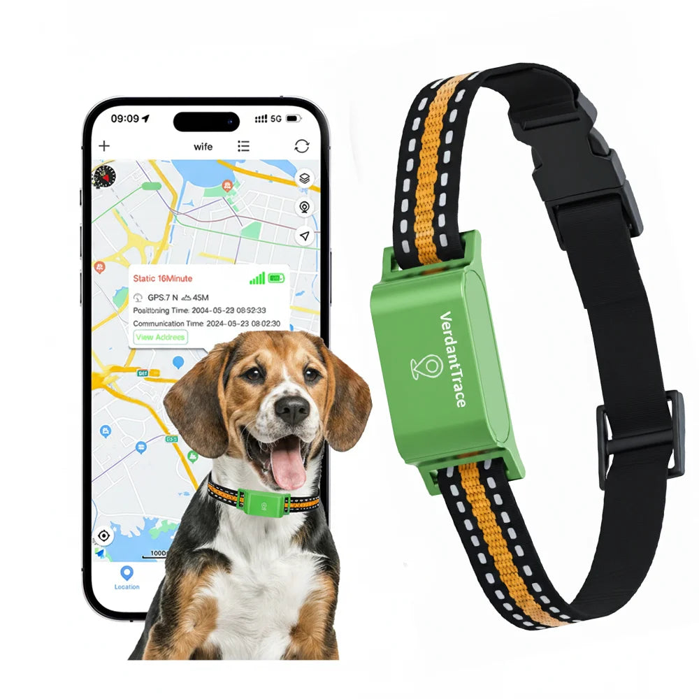 Wuffladen - 4G GPS Halsband für Hunde