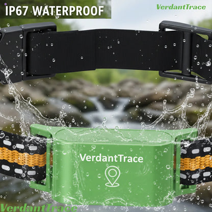 Wuffladen - 4G GPS Halsband für Hunde