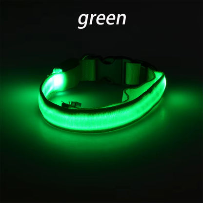 Wuffladen - Hunde - LED Sicherheits-Halsband & Leine