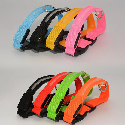 Wuffladen - Hunde - LED Sicherheits-Halsband & Leine