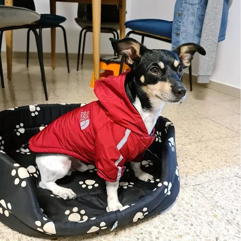 Wuffladen - Hoodie für Hunde