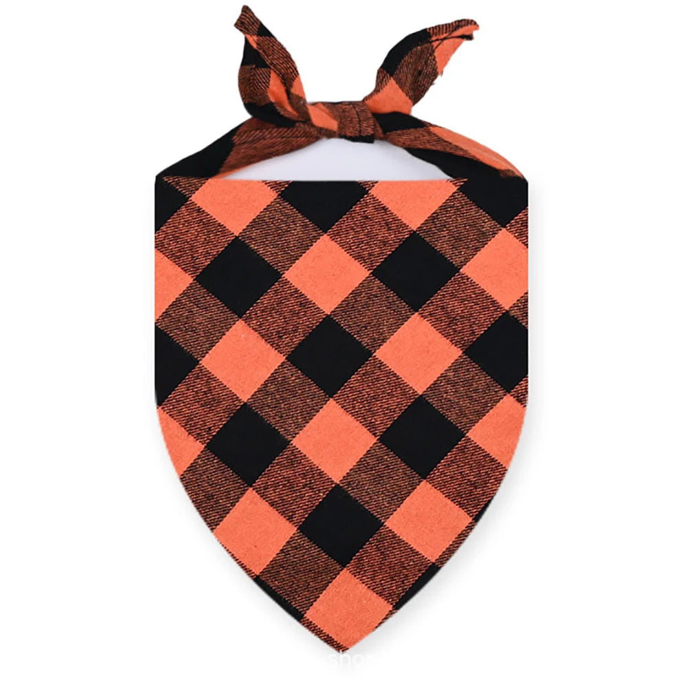 54481467310429|54481467343197|54481467375965|54481467408733