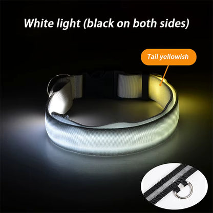 Wuffladen - Hunde - LED Sicherheits-Halsband & Leine