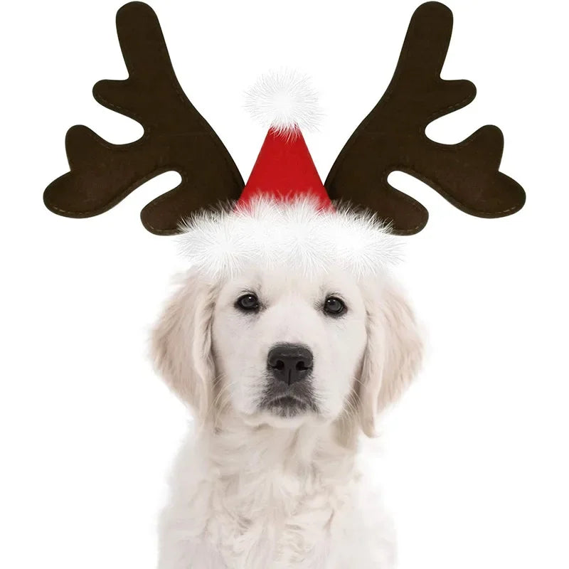 Wuffladen - Hunde - Elch-Geweih Kopfschmuck mit Weihnachtsmannmütze