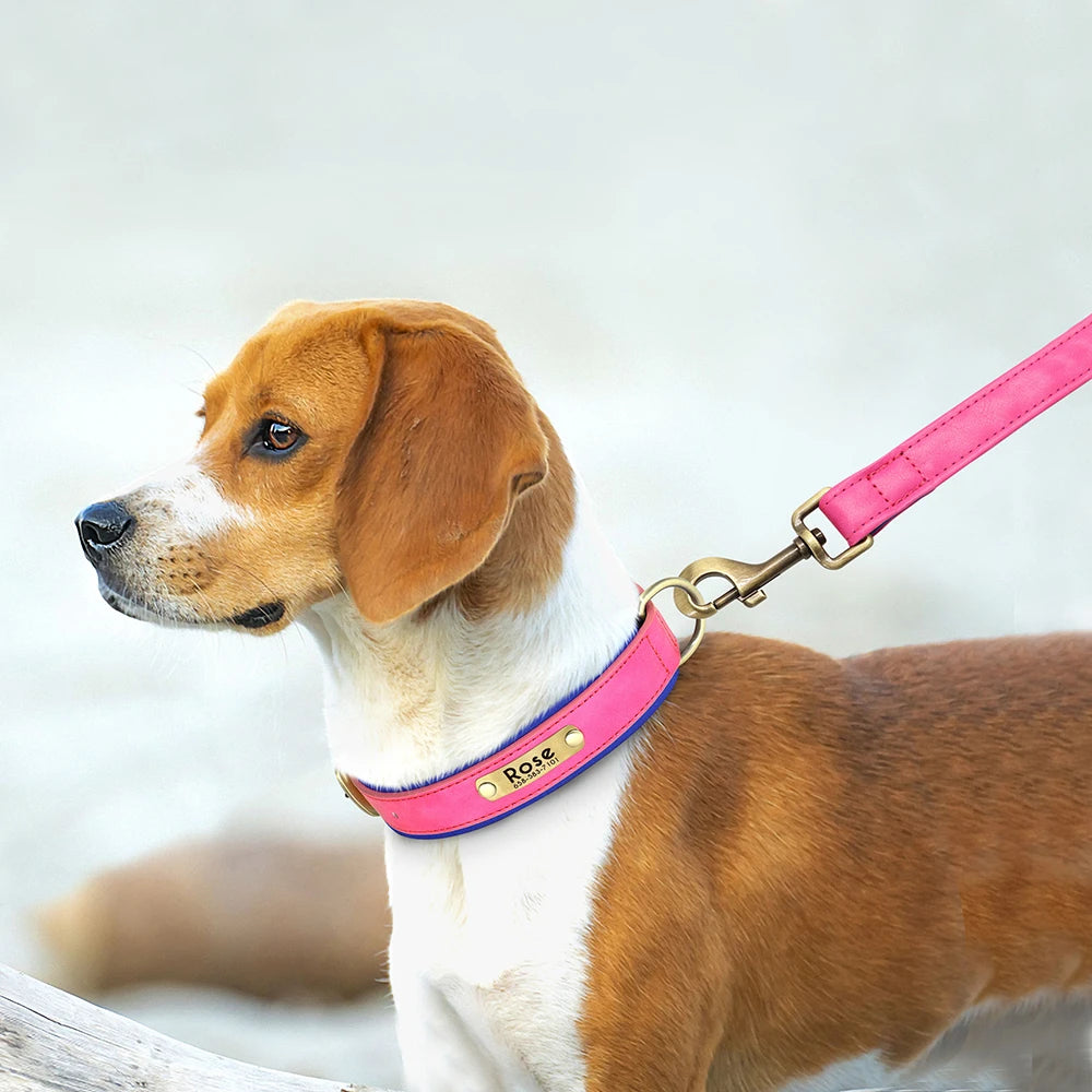Wuffladen - Hunde - Halsband & Leine personalisiert